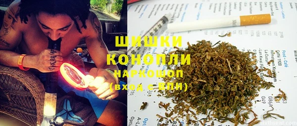 дживик Белокуриха