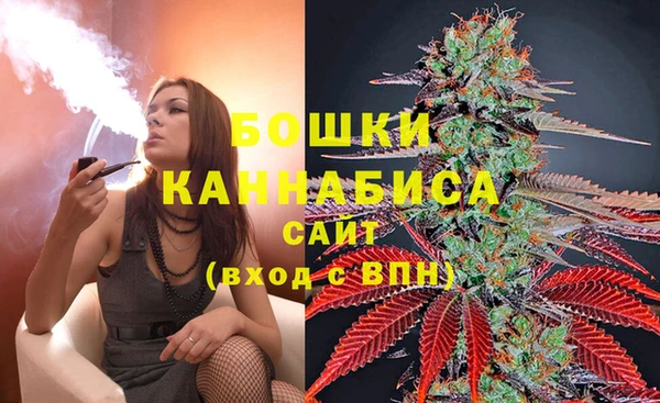 дживик Белокуриха