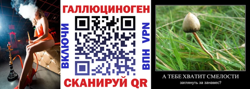 Галлюциногенные грибы Psilocybe  где купить наркоту  OMG зеркало  сайты даркнета Telegram  Ворсма 